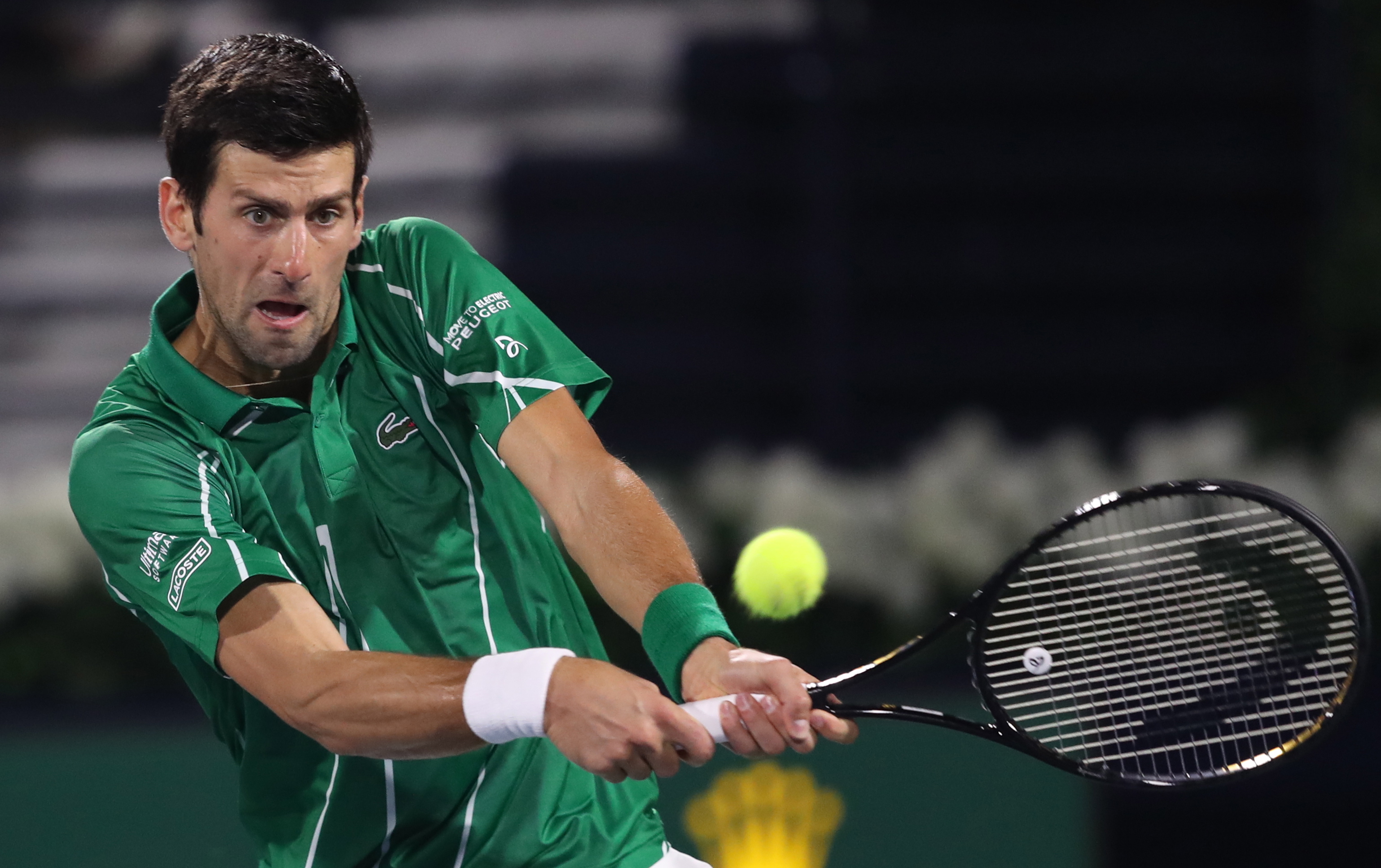 和理解进行 和理解进行