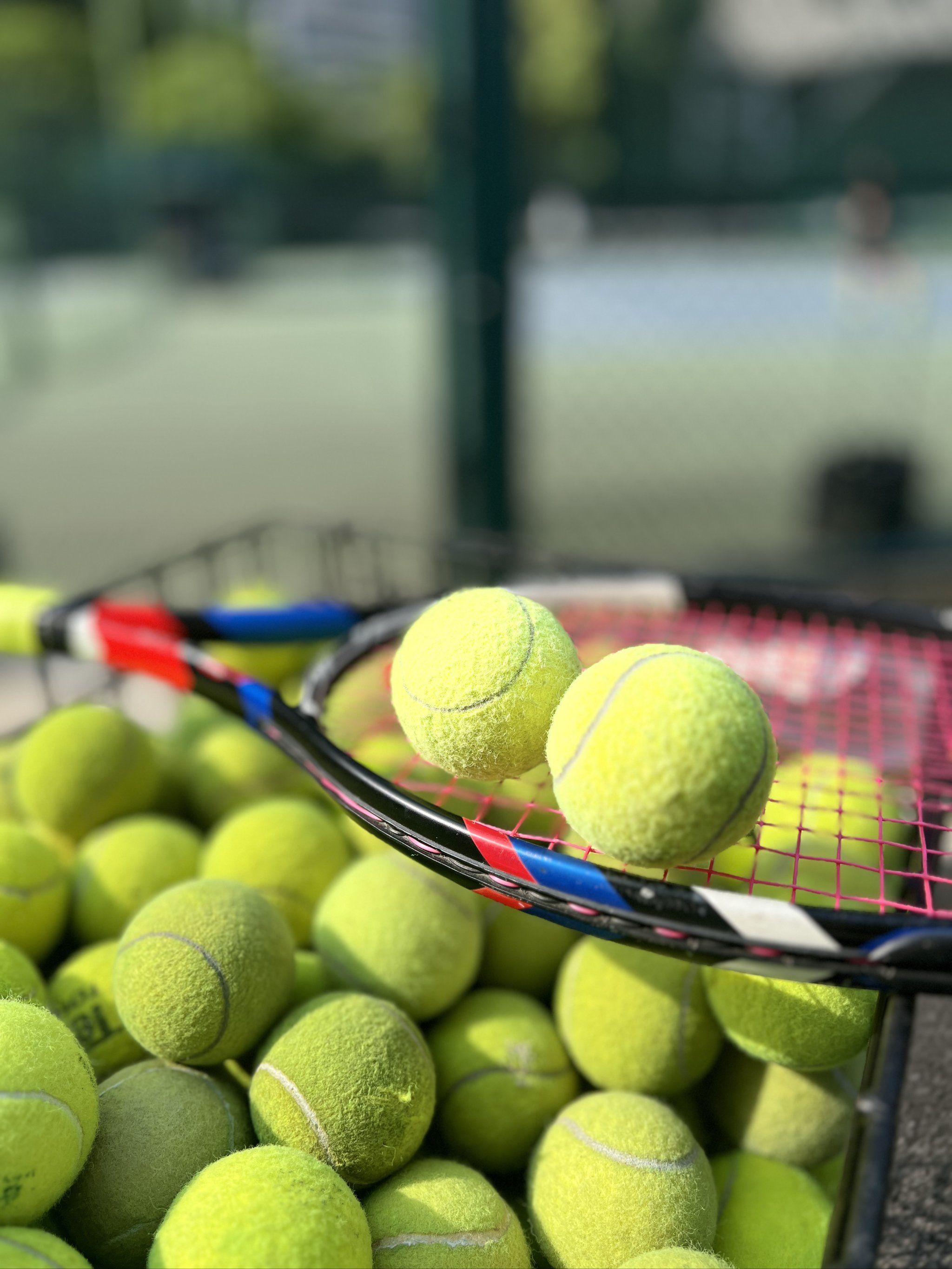 和袁也淳升 和袁也淳升